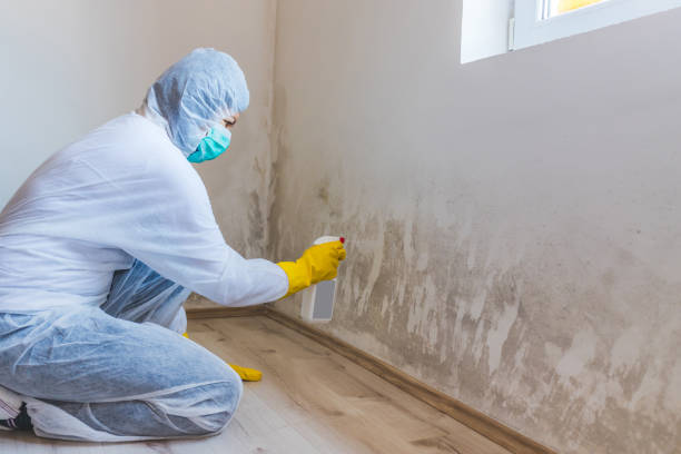 Mold inspector in West Orange performing thermal imaging
