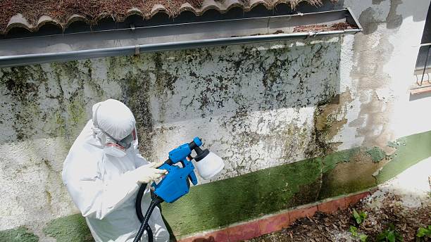 Mold Remediation service in West Orange, West Orange, NJ
